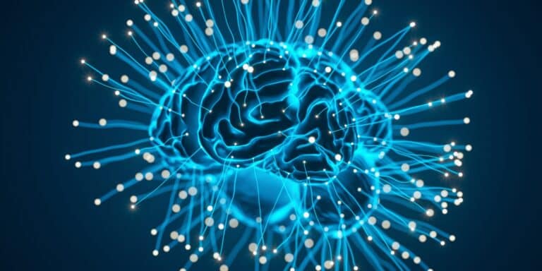 Neuroscienze cognitive: le nuove frontiere nell’apprendimento